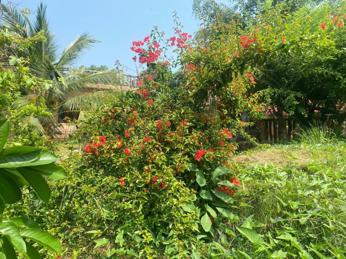 Ngoc Tien Farmer Eco Lodge Cat Tien Exterior foto